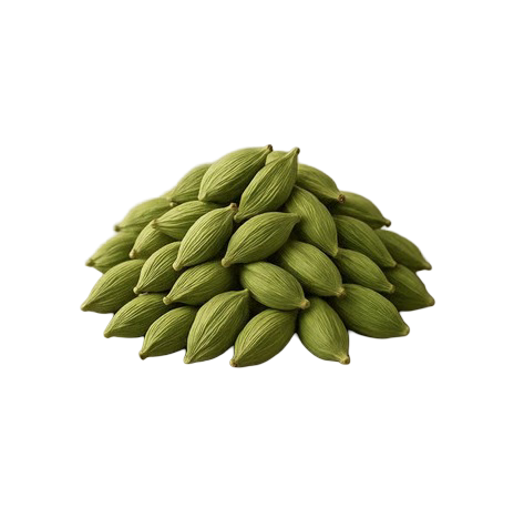 Cardamom