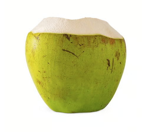 Coconut