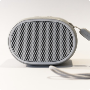 Speakers1