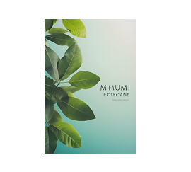 Pathways-to-Positivity2.png Pathways to Positivity