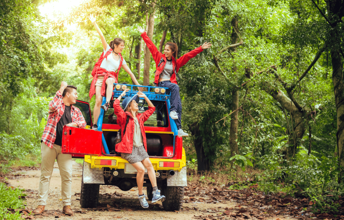 Jungle Safari